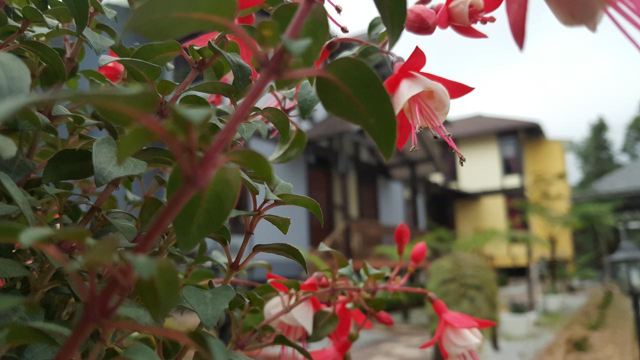 Casa Loma Cameron Highlands Villa Kültér fotó